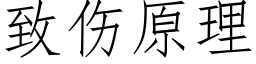 緻傷原理 (仿宋矢量字庫)