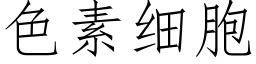 色素细胞 (仿宋矢量字库)