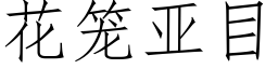 花籠亞目 (仿宋矢量字庫)