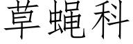 草蝇科 (仿宋矢量字库)