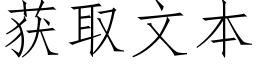 获取文本 (仿宋矢量字库)