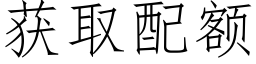 獲取配額 (仿宋矢量字庫)