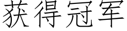 获得冠军 (仿宋矢量字库)