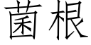 菌根 (仿宋矢量字庫)