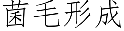 菌毛形成 (仿宋矢量字庫)