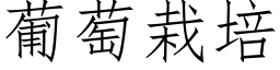 葡萄栽培 (仿宋矢量字库)