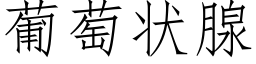 葡萄狀腺 (仿宋矢量字庫)