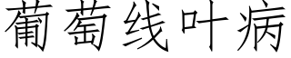 葡萄線葉病 (仿宋矢量字庫)