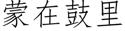 蒙在鼓裡 (仿宋矢量字庫)