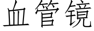 血管镜 (仿宋矢量字库)