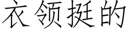 衣領挺的 (仿宋矢量字庫)