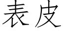 表皮 (仿宋矢量字库)