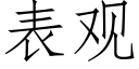 表观 (仿宋矢量字库)