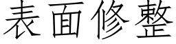 表面修整 (仿宋矢量字库)