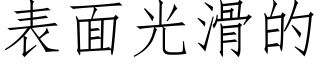 表面光滑的 (仿宋矢量字库)