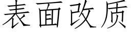 表面改质 (仿宋矢量字库)