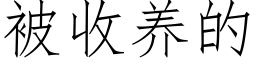 被收养的 (仿宋矢量字库)