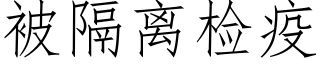 被隔离检疫 (仿宋矢量字库)