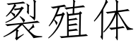 裂殖体 (仿宋矢量字库)