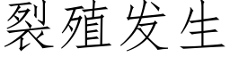 裂殖發生 (仿宋矢量字庫)