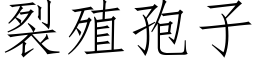 裂殖孢子 (仿宋矢量字庫)