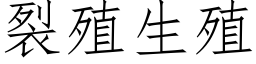 裂殖生殖 (仿宋矢量字庫)