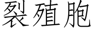 裂殖胞 (仿宋矢量字库)