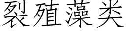 裂殖藻類 (仿宋矢量字庫)