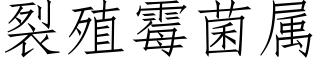 裂殖黴菌屬 (仿宋矢量字庫)