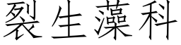 裂生藻科 (仿宋矢量字庫)