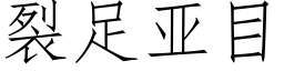 裂足亚目 (仿宋矢量字库)