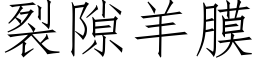 裂隙羊膜 (仿宋矢量字库)