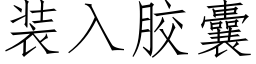 装入胶囊 (仿宋矢量字库)