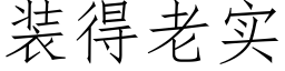 装得老实 (仿宋矢量字库)