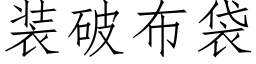 装破布袋 (仿宋矢量字库)