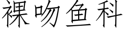 裸吻魚科 (仿宋矢量字庫)