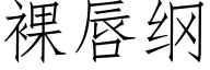 裸唇纲 (仿宋矢量字库)