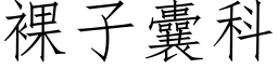 裸子囊科 (仿宋矢量字库)