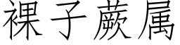 裸子蕨属 (仿宋矢量字库)