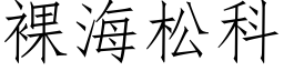 裸海松科 (仿宋矢量字库)