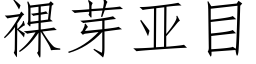 裸芽亚目 (仿宋矢量字库)