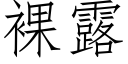 裸露 (仿宋矢量字库)