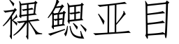 裸鳃亚目 (仿宋矢量字库)