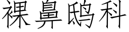 裸鼻鸱科 (仿宋矢量字庫)