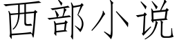 西部小说 (仿宋矢量字库)