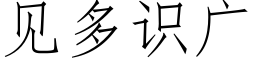 見多識廣 (仿宋矢量字庫)