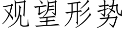 观望形势 (仿宋矢量字库)