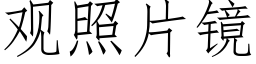 观照片镜 (仿宋矢量字库)