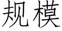 規模 (仿宋矢量字庫)