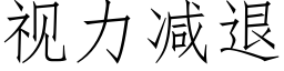 視力減退 (仿宋矢量字庫)